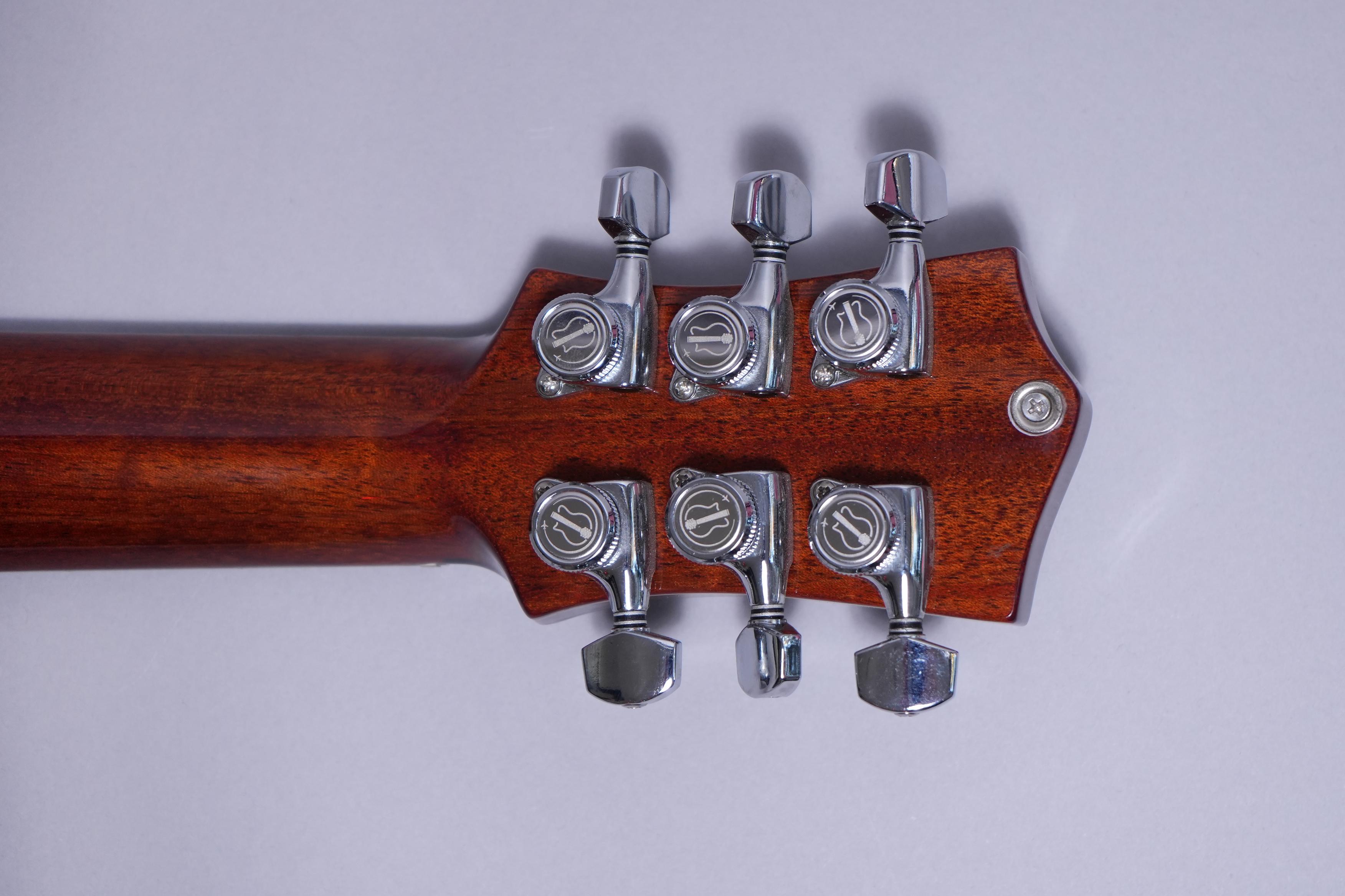 Steve Stevens Ascender Premier – Ciari Guitars