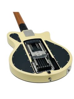 Ascender Standard Plus