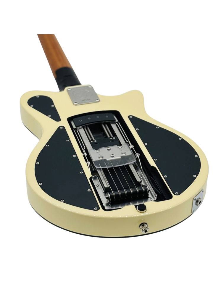 Ascender Standard Plus